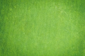 green textile in close up image